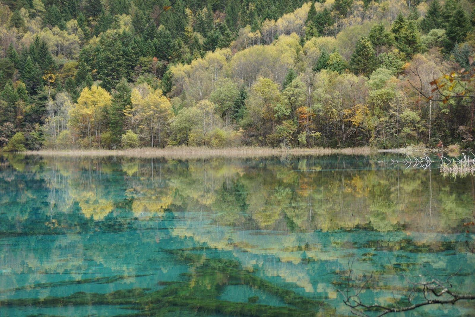 Jiuzhaigou City photos 1